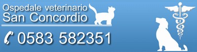 Ospedale Veterinario San Concordio